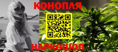 прущие грибы Ставрополь