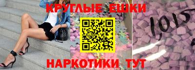 стаф Сланцы