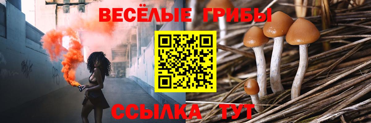 Лиски  Псилоцибиновые грибы ЛСД  где купить наркотик  Вход с VPN 